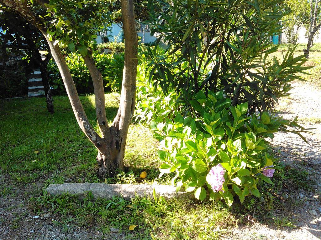 Casa Do Fiscal Villa Barroselas Rum bild